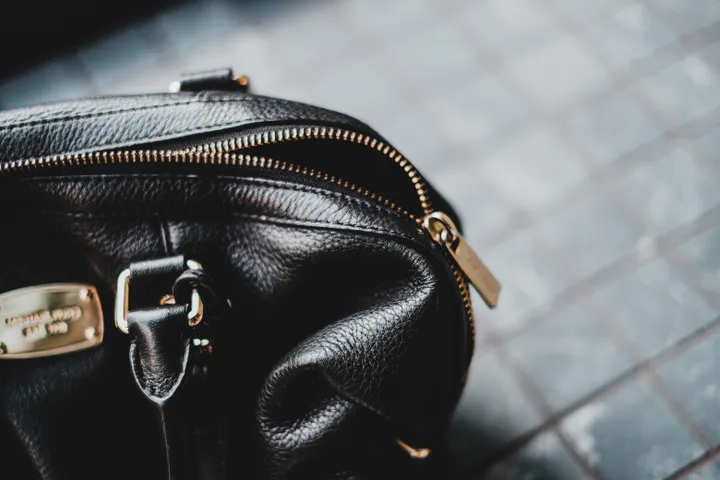 Metal badge and hardware detail on a bag
