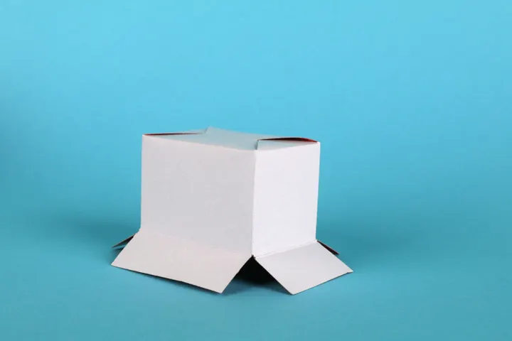 Open mailer-style box showing packaging structure